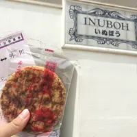 銚子電気鉄道　犬吠駅の写真・動画_image_180791