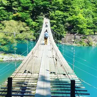 夢の吊橋の写真・動画_image_180958