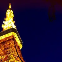 東京タワーの写真・動画_image_181049