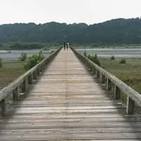 蓬莱橋の写真・動画_image_181052