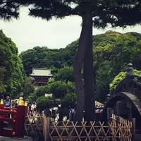 鶴岡八幡宮の写真・動画_image_181284
