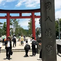 段葛の写真・動画_image_181290