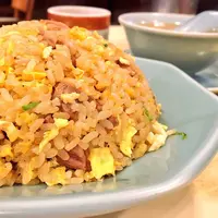 龍朋 （りゅうほう）の写真・動画_image_181372