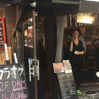 松ぼつくりの写真・動画_image_181427