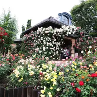 河口湖音楽と森の美術館（旧：オルゴールの森）の写真・動画_image_181540