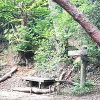 赤ざる峠の写真・動画_image_181640