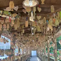 杖立温泉　もみじ橋の写真・動画_image_1818162