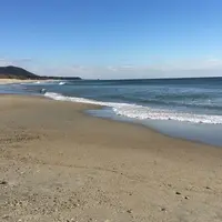 太平洋ロングビーチの写真・動画_image_181845