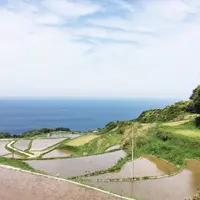 東後畑棚田の写真・動画_image_181996
