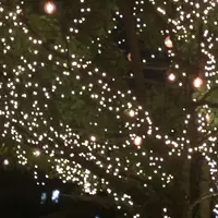 crisscross （クリスクロス）の写真・動画_image_182169