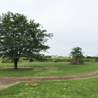 三里塚さくらの丘の写真・動画_image_182260