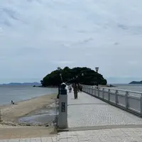 竹島の写真・動画_image_1823798