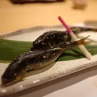 柳家錦の写真・動画_image_182607