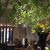 麹町カフェ (Kojimachi Cafe)の写真・動画_image_182644