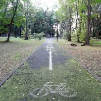 代々木公園サイクリングコースの写真・動画_image_182693