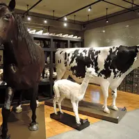 東京大学総合研究博物館の写真・動画_image_182735