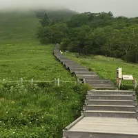 霧降高原の写真・動画_image_182798