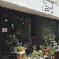 ブランシュの写真・動画_image_182809