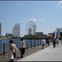 汽車道（港１号・２号・３号橋梁旧臨港線護岸）の写真・動画_image_182876