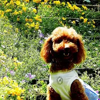 カオカオの写真・動画_image_182883