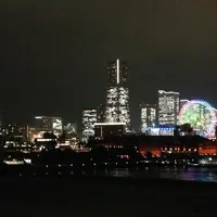 横浜港大さん橋国際客船ターミナル（大さん橋）の写真・動画_image_182886