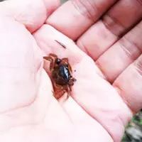 海上の森 里山サテライト（愛称：かたりべの家）の写真・動画_image_183171