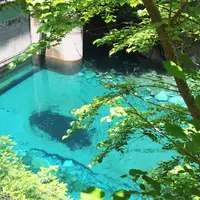 ユーシン渓谷の写真・動画_image_183407