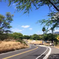 ダイアモンド ヘッド ステート モニュメントの写真・動画_image_183421
