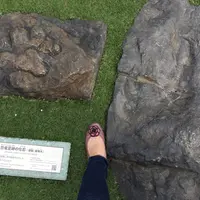 JR福井駅の写真・動画_image_183507