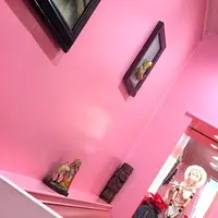 南インド料理 シリバラジの写真・動画_image_183692