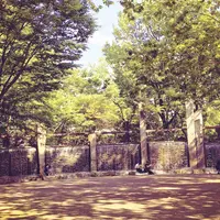 蚕糸の森公園の写真・動画_image_183885