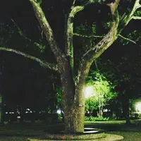 蚕糸の森公園の写真・動画_image_183886