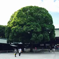 明治神宮の写真・動画_image_184266