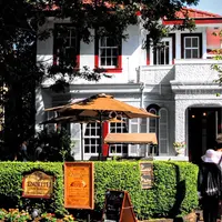 えの木ていの写真・動画_image_184291