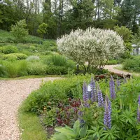 風のガーデンの写真・動画_image_184332