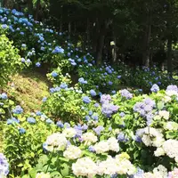 ２１世紀の森公園の写真・動画_image_184502