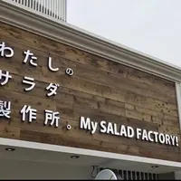 【閉店】わたしのサラダ製作所。マイサラダファクトリー 吉祥寺店の写真・動画_image_184539
