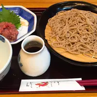 まぐろそば　浅草本店の写真・動画_image_184570