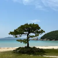 高浜海水浴場の写真・動画_image_1849565