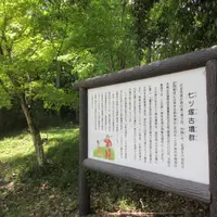 七ﾂ塚古墳群の写真・動画_image_1850969