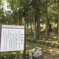 新井神社の写真・動画_image_1850971