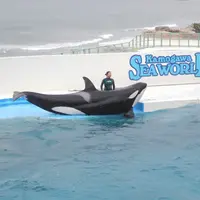 鴨川シーワールドの写真・動画_image_185823