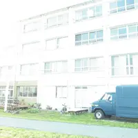 LOCAL COLORAの写真・動画_image_185900