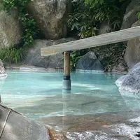 瑠璃の湯（姥湯温泉 桝形屋）の写真・動画_image_1859488