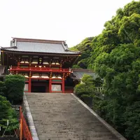 鶴岡八幡宮の写真・動画_image_186234