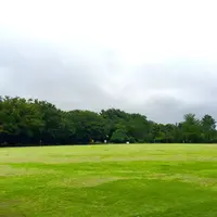 井の頭恩賜公園競技場の写真・動画_image_186288