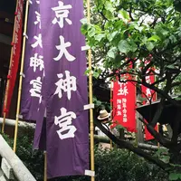 東京大神宮の写真・動画_image_186416