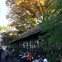 リストランテASOの写真・動画_image_186441