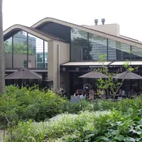 IVY PLACE(アイヴィープレイス)の写真・動画_image_186459