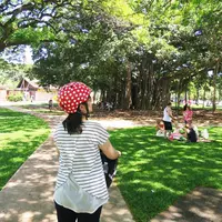 Segway of Hawaiiの写真・動画_image_186581